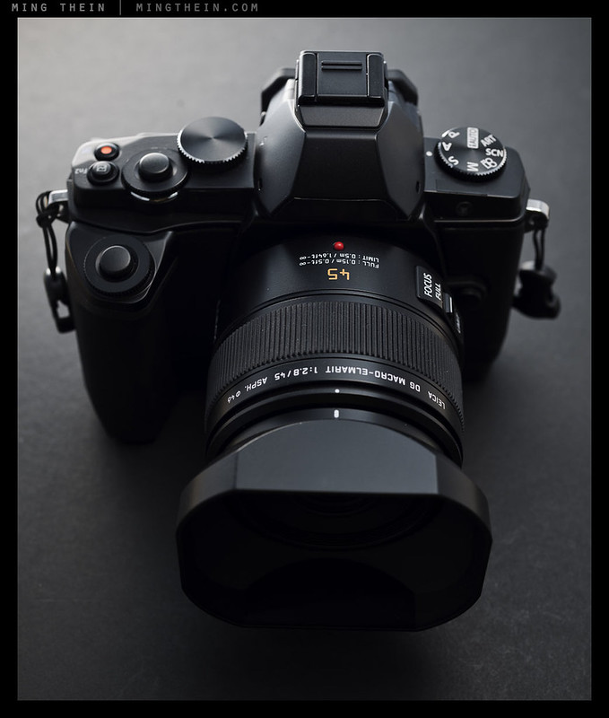 Review: The Panasonic Leica 45/2.8 Macro-Elmarit for Micro Four