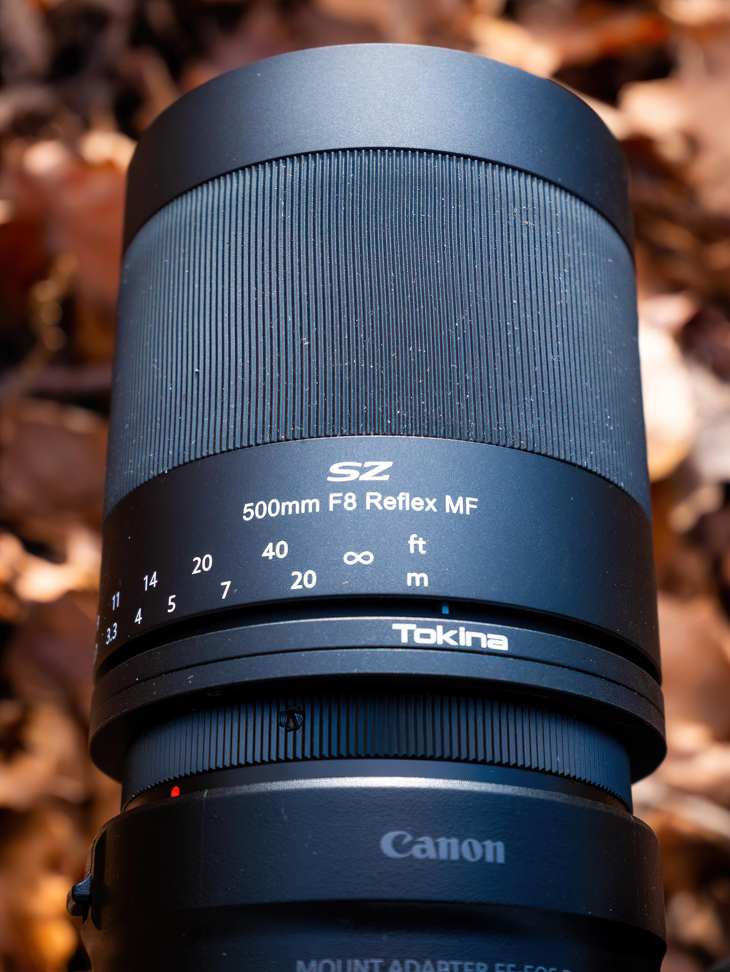 TEST Tokina SZ 500mm • Flying Shark Photography | Florian Legrand