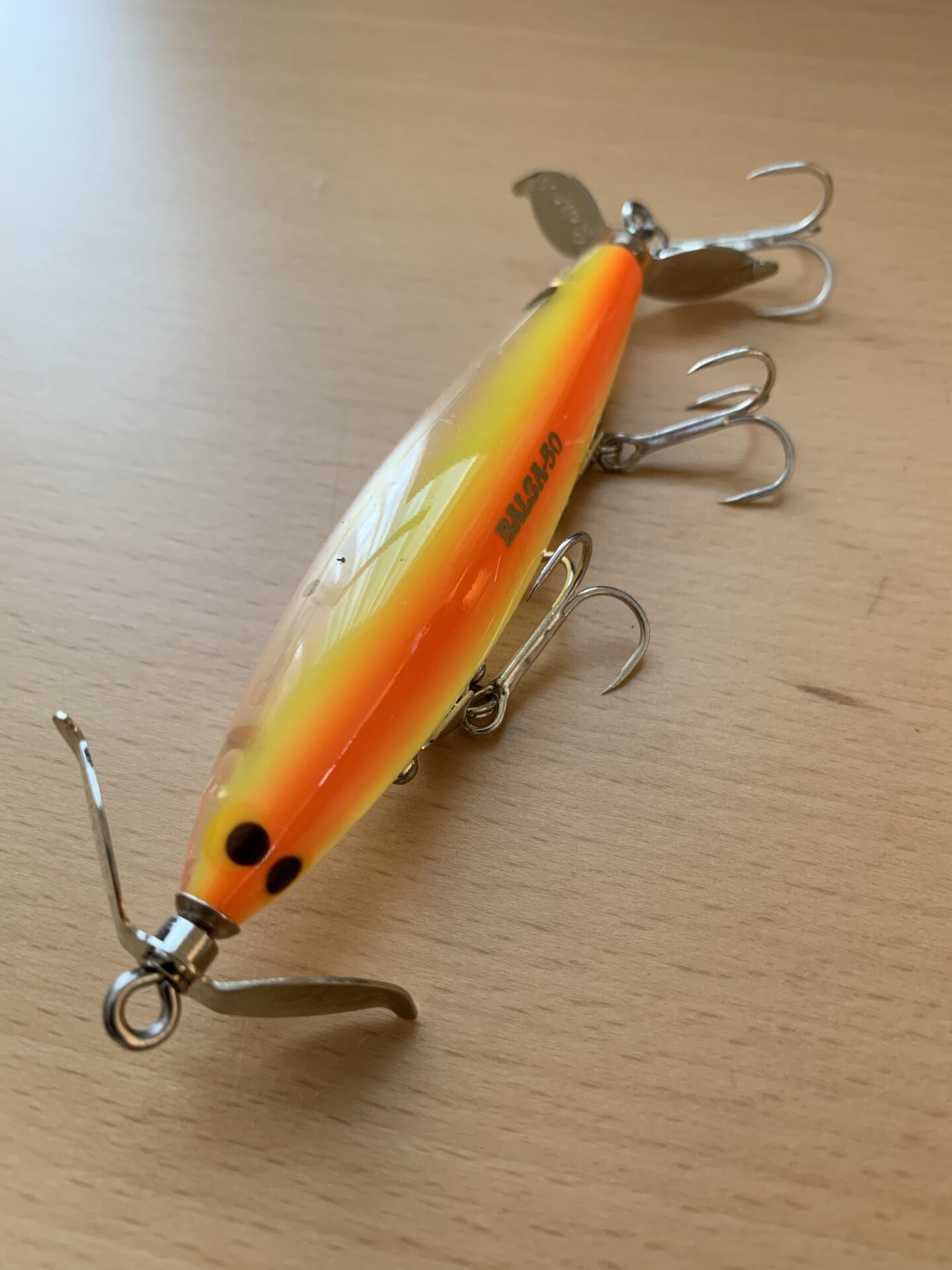 ホッツィートッツィー セラフ(ザウルス)インプレ。ダブルスイッシャー