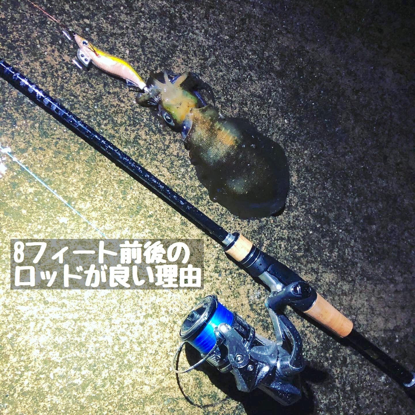 img_3578.jpg?fit=1440,1440&ssl=1