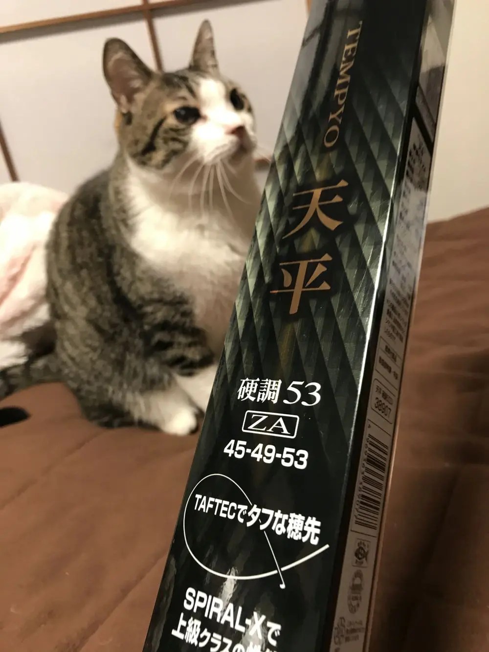 渓流竿シマノ天平 硬調53ZA 再購入 | Kiryu City Life 群馬県桐生市