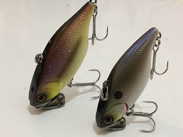 TN50 TN60トリゴン実釣インプレ！ぶっ飛び遠投、シャローでもイイ