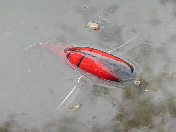 FPクローラー（モンカルアーワークス）実釣インプレ！フィネスな超