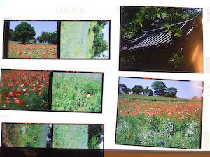 ライトボックス リバーサルフィルム – Mushagaeshi.com