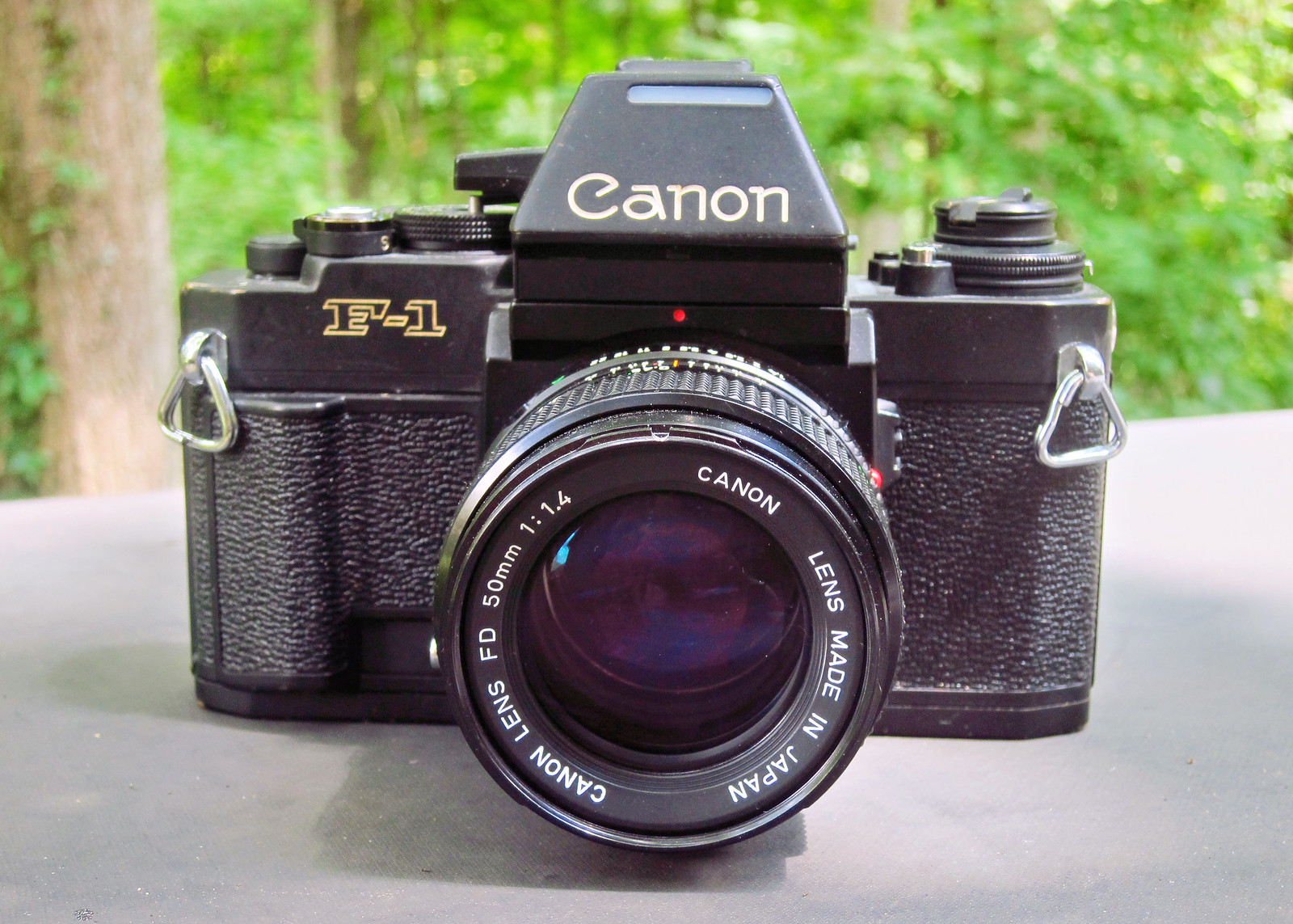 Canon New F-1 - Down the Road