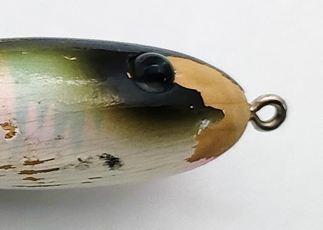 大柄ボディなのに実はテクニシャンな壁ツンの貴公子 テラー5/8oz