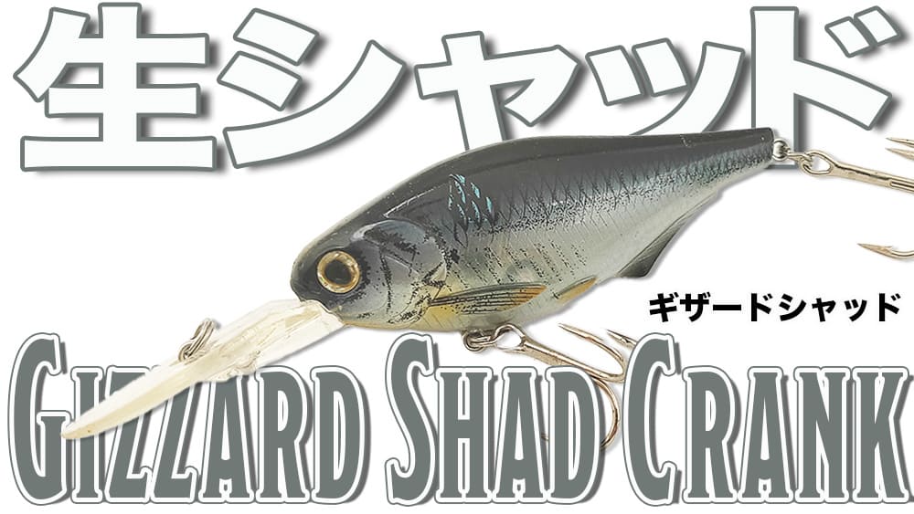 海外製シャッドプラグが苦手なアングラーにこそ使ってほしい高性能扁平