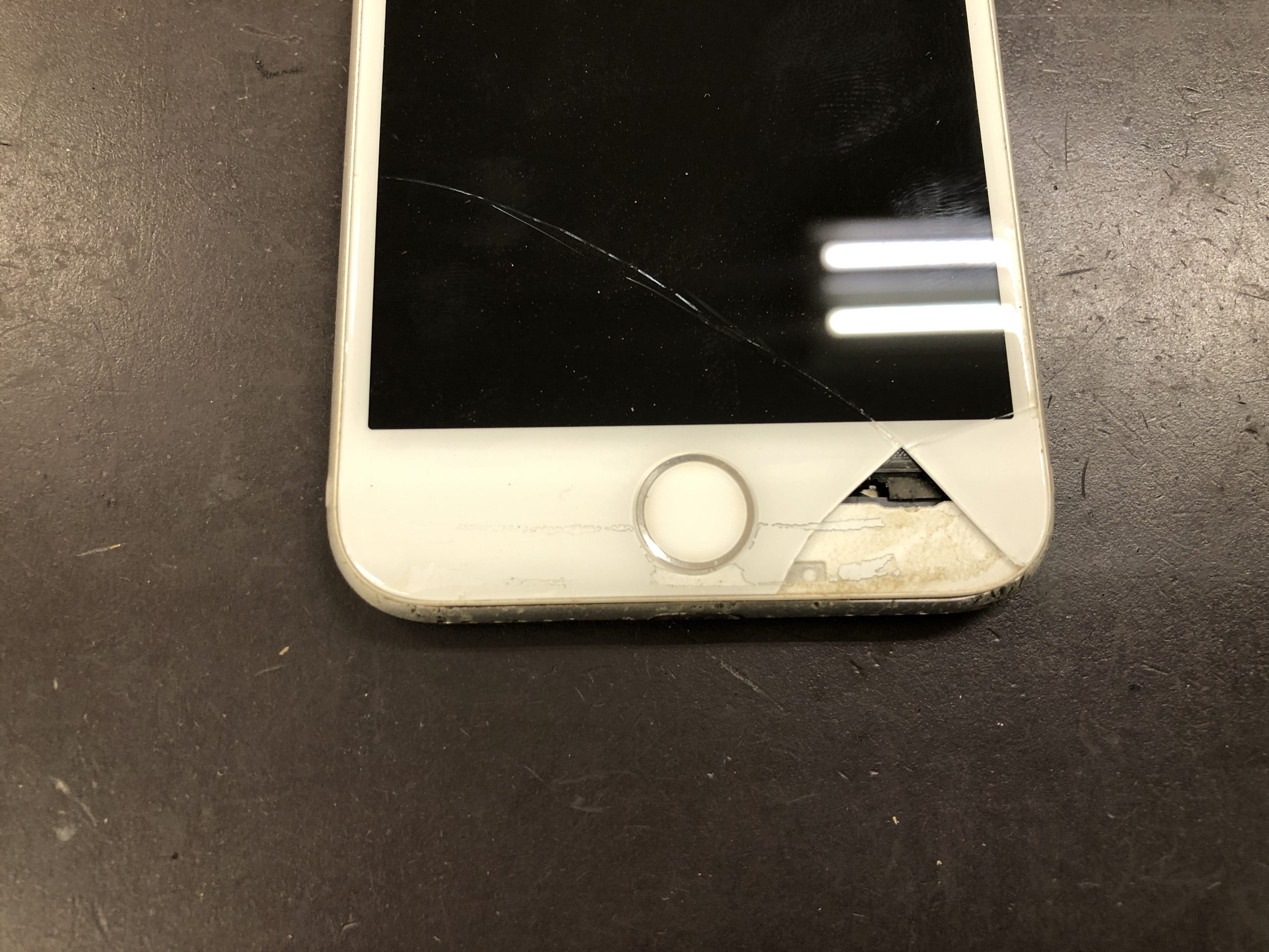 20220202_085828001_iOS-scaled.