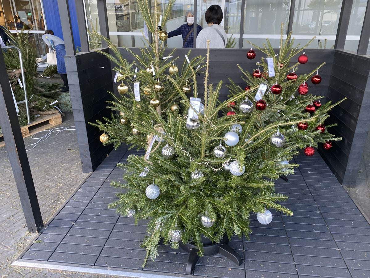 番外編】IKEAのモミの木を購入してみた。選ぶときにあると便利な道具と