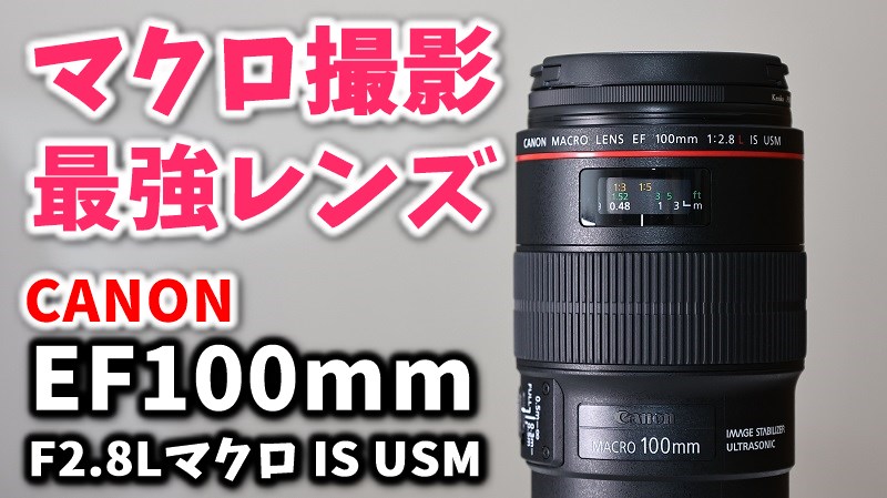 レビュー】キヤノンEF100mm F2.8Lマクロ IS USM純正レンズがおすすめ