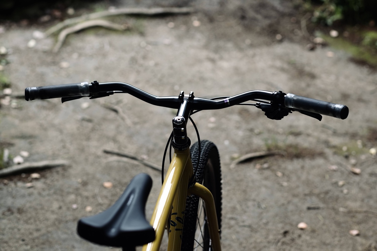 Get around to fun fun fun. | SimWorks