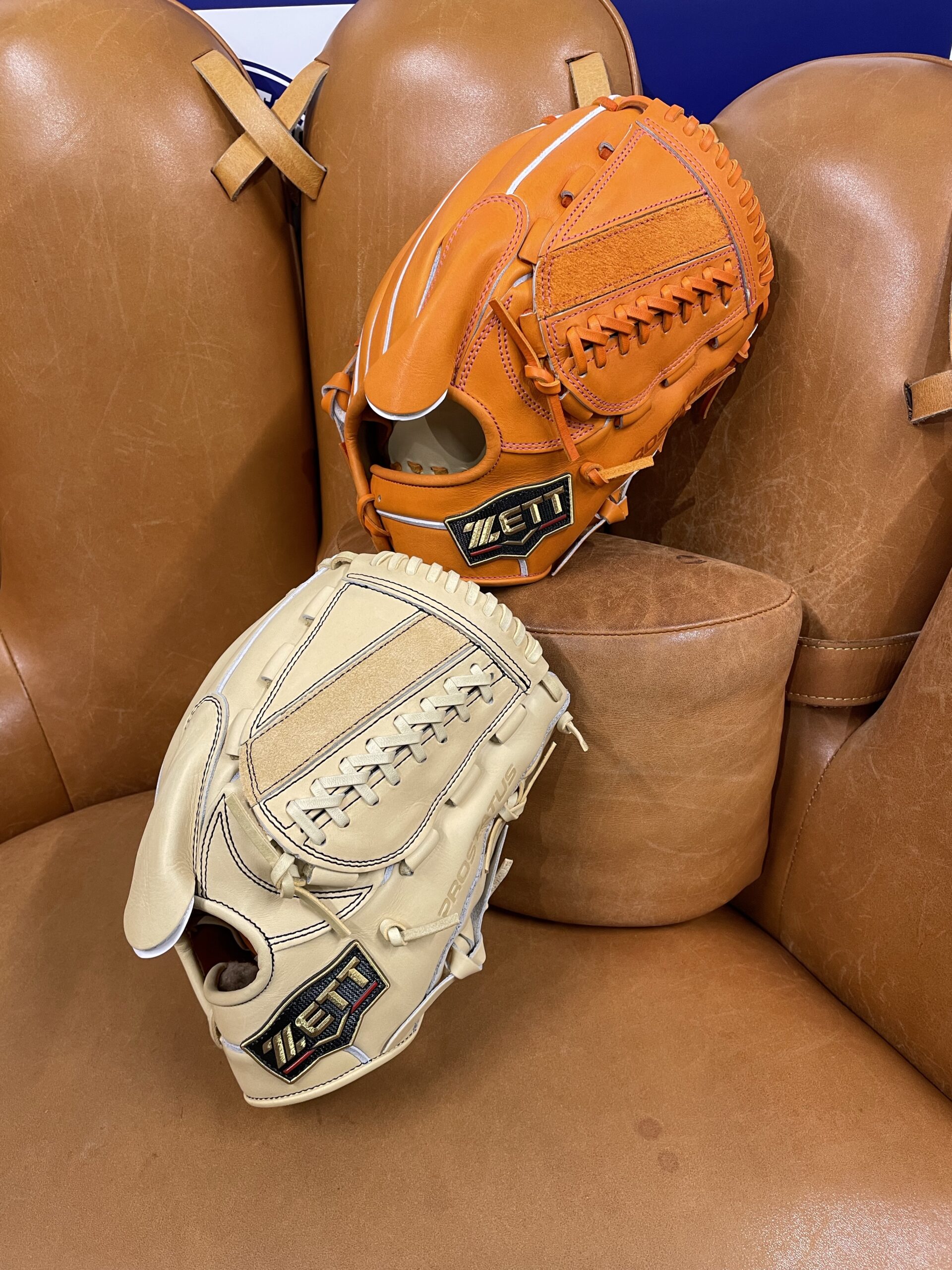 グローブ】プロステイタスSE～Special Edition～BPROG21Sについて | 超