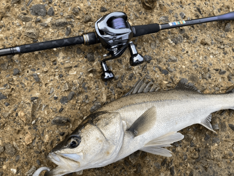 StreamDriver – 21アンタレスDC ブレーキユニット インプレ