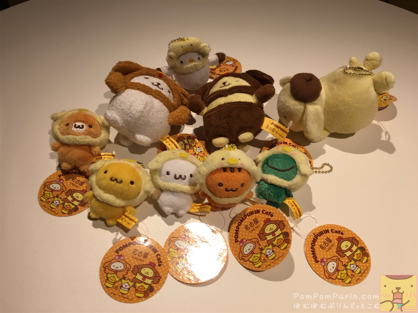 nago-20161122-1.jpg?resize=300,225