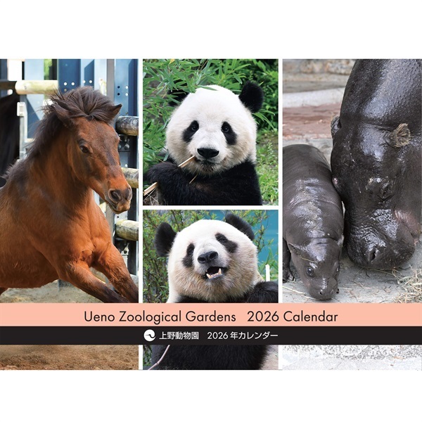 シャオレイ グッズ | パンダフル -Animal Friends-