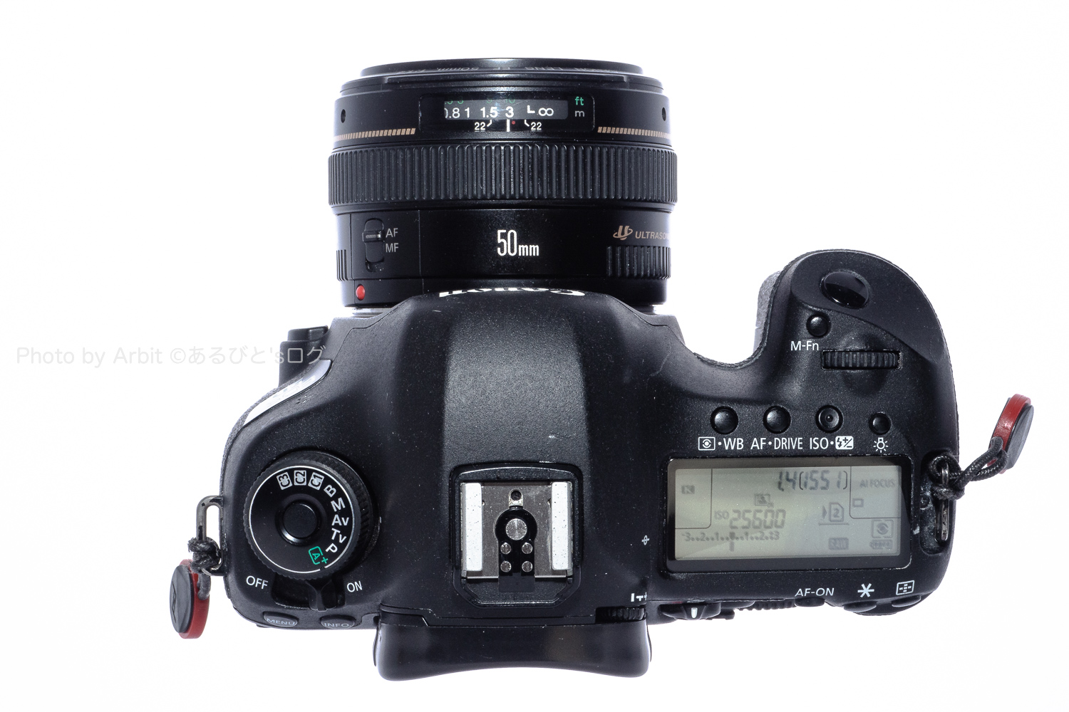 EF50mm F1.4 USMレビュー :Canonの王道標準レンズ | あるびと'sログ