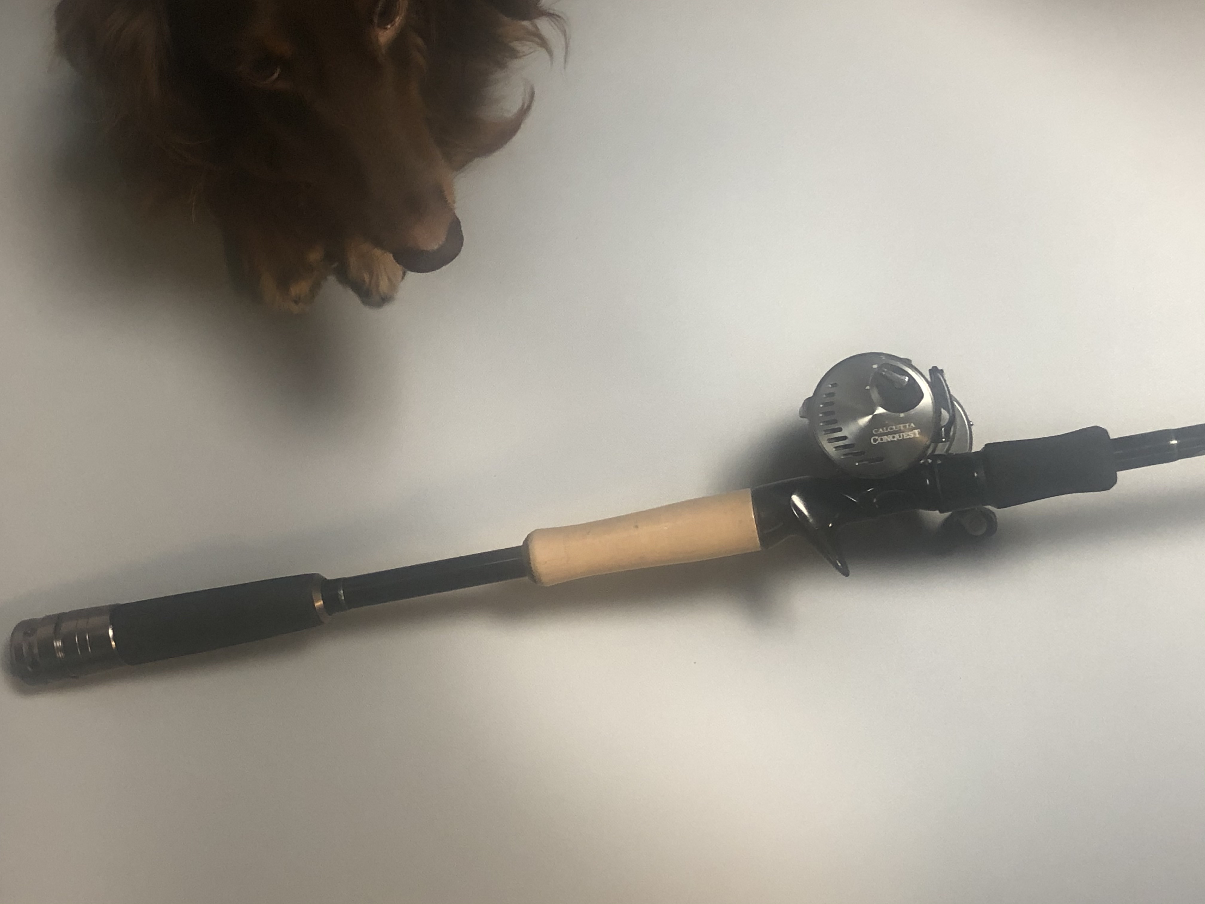 カスタムグリップ コルクにしてみた！ - Bait shore style