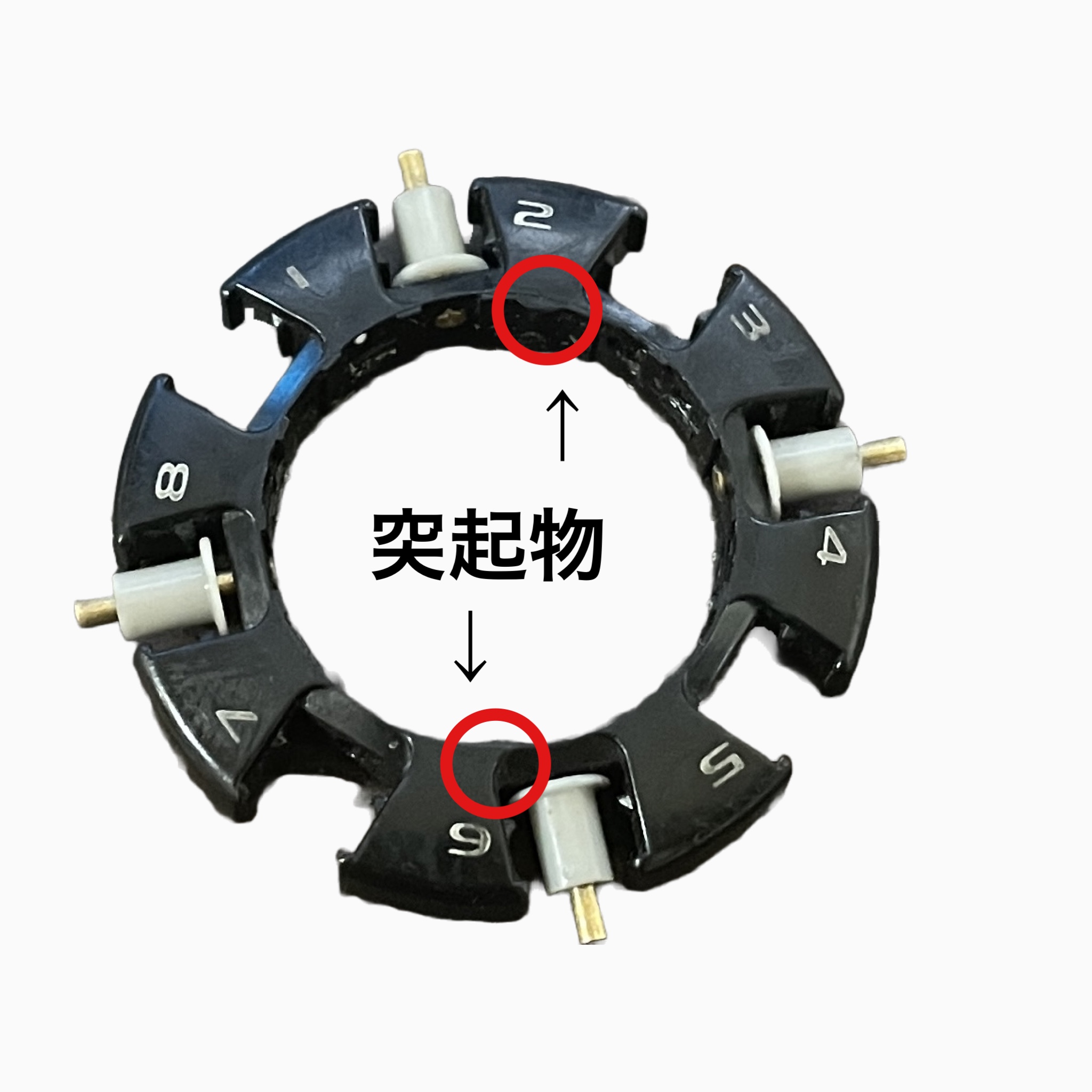 コンクエストMD300 - Bait shore style