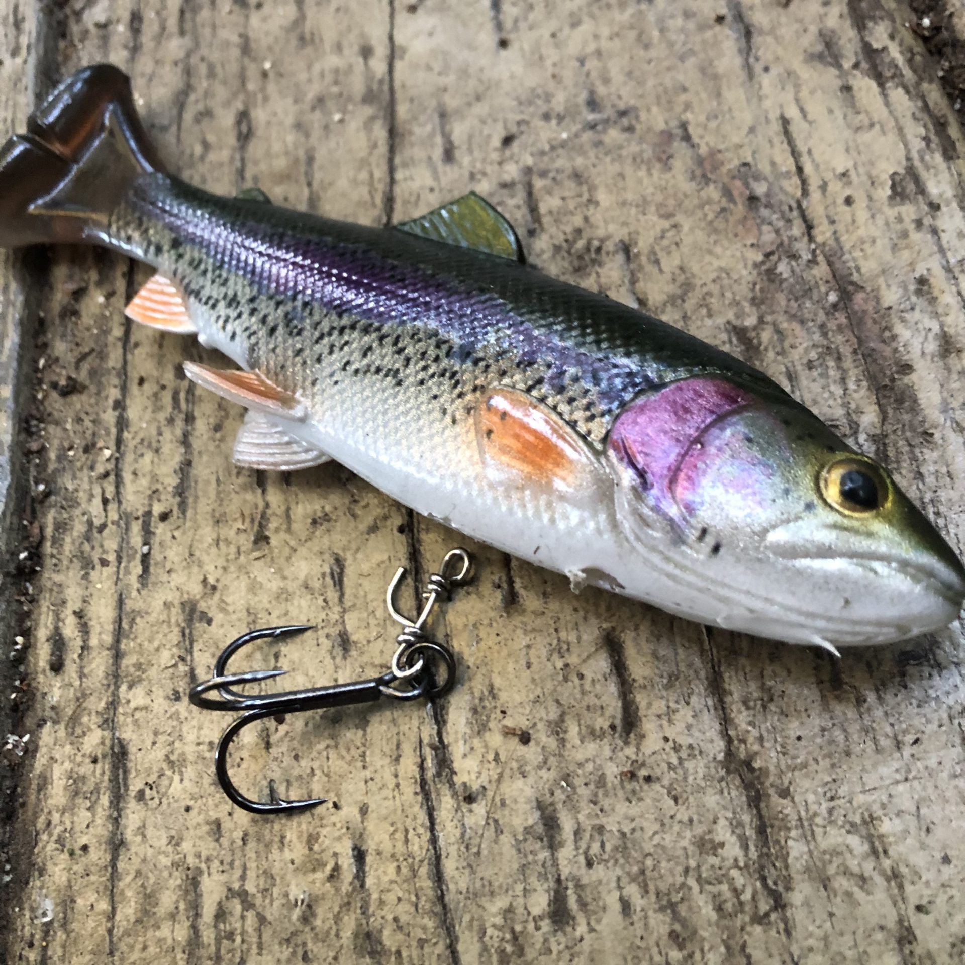 Savage Gear 4D Pulse Tail Review - Wild Outdoor