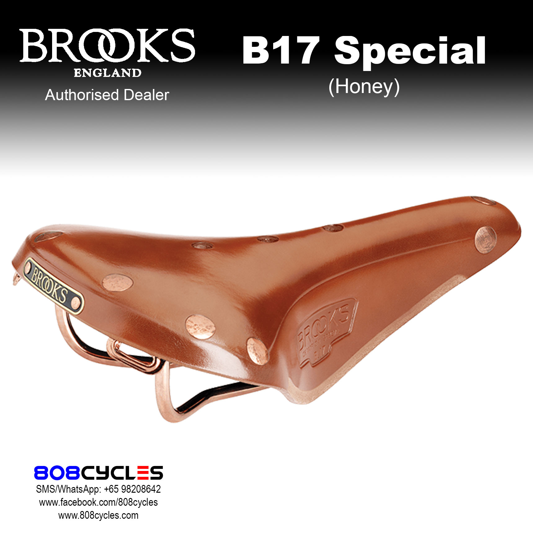 Brooks B17 Special Leather Saddle – 808 Cycles