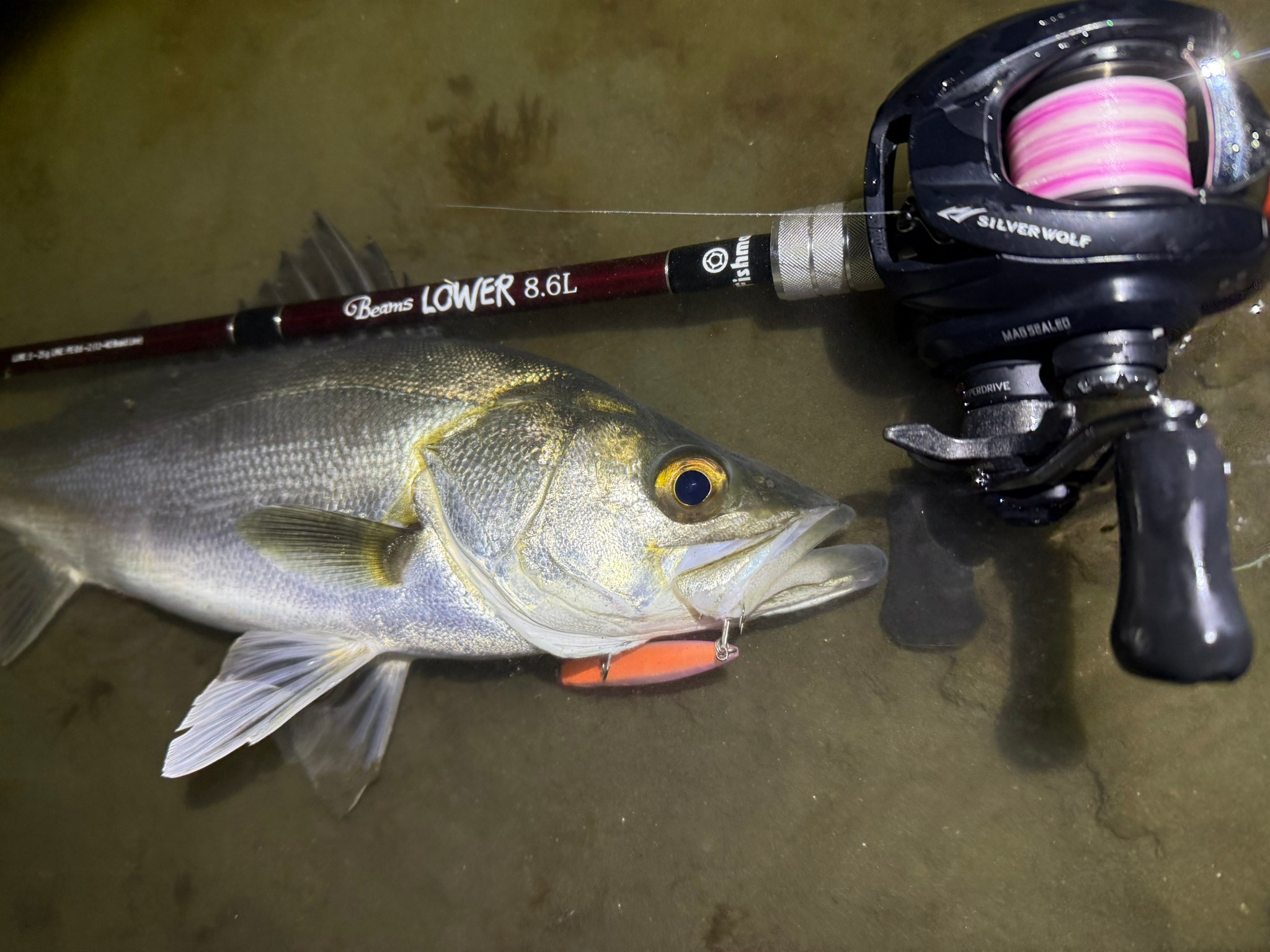 川バチ・港湾バチ・アミ・ハク対応】ライトだけど強い、と言う怪ロッド