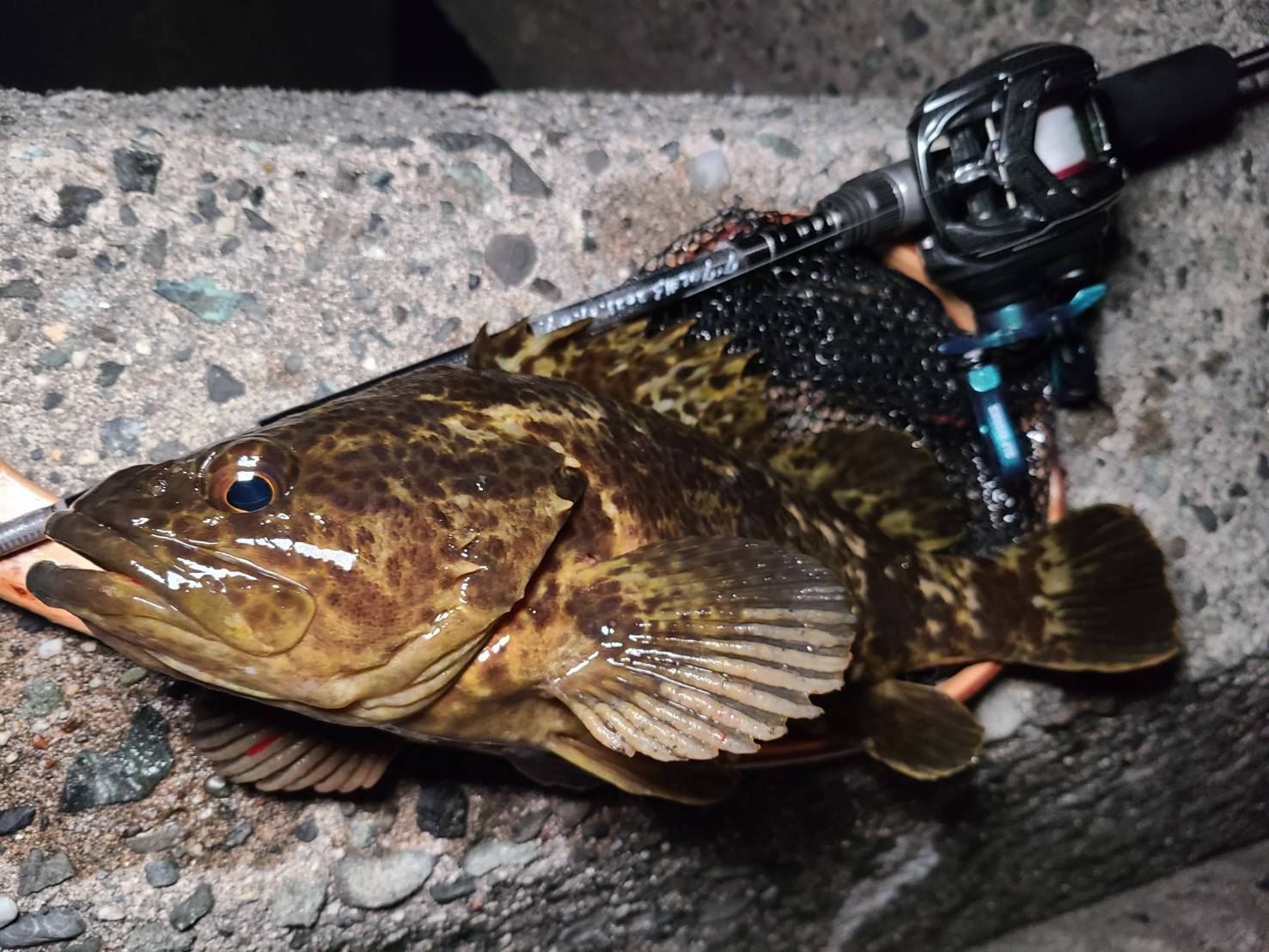 全国の港を楽しみ尽くす！？超々バーサタイルなライトSWゲームロッド