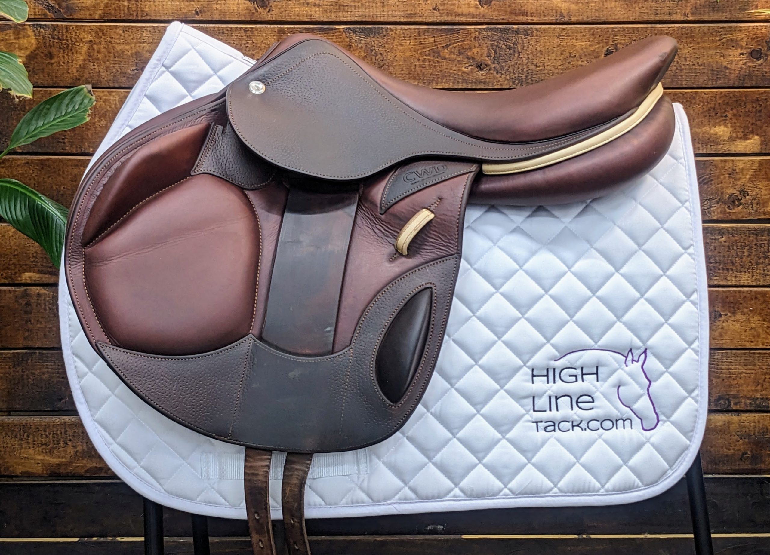 17.5″ CWD SE12 2A (2019) *Forward Flaps* | Highline Tack