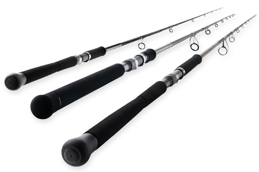 名前はライト、でも強い】ショアジギにグッドなパワーマスターライト