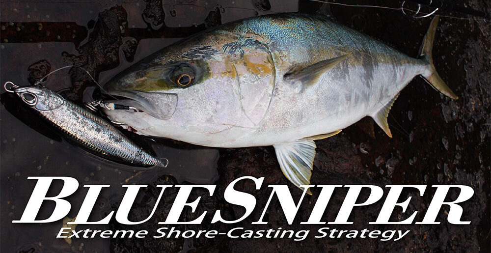 人気のショアキャスティングゲームに！】ヤマガブランクスの名竿「BLUE