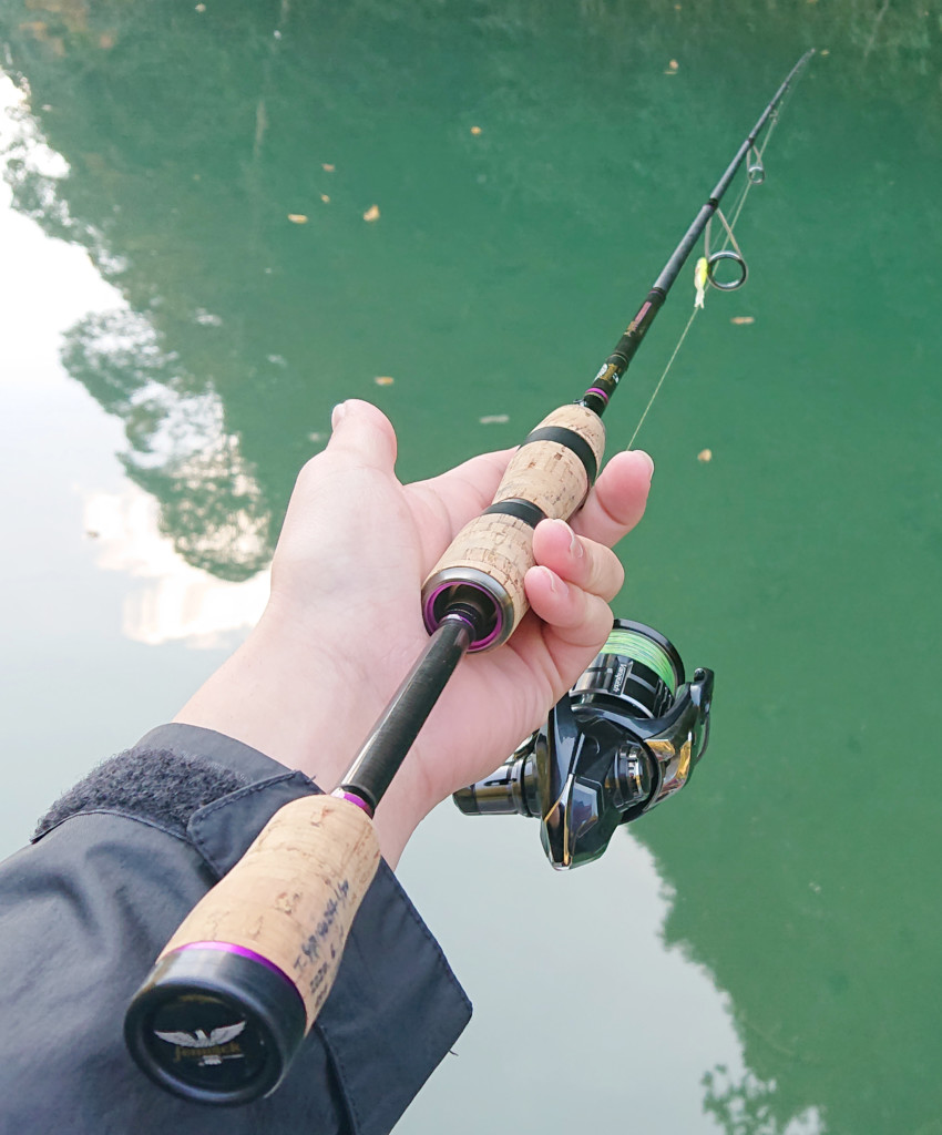 ホバストのために作られた高性能スタンダードロッド「フェンウィック