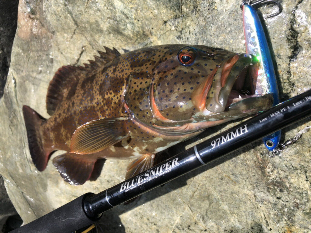 人気のショアキャスティングゲームに！】ヤマガブランクスの名竿「BLUE