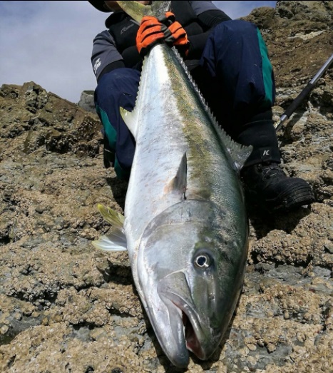 テイルウォークのスーパーヘビーショアジグロッド「オキナワマンビカ