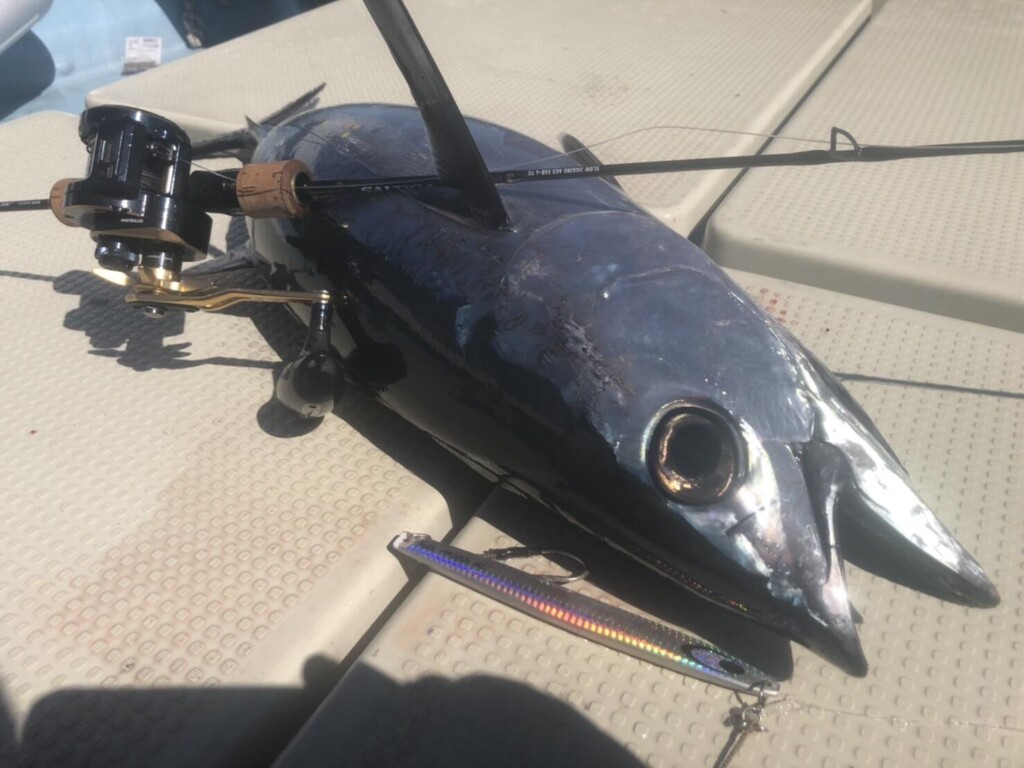 ダイワ初となるフルソリッドのスロージギングロッド「ソルティガSL AGS