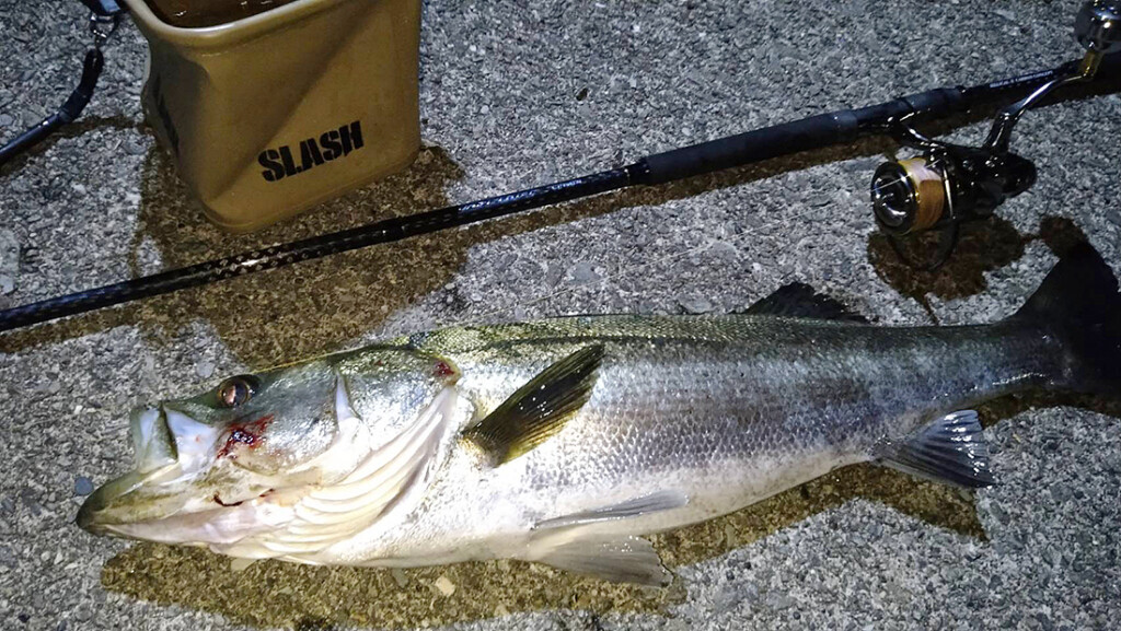 こういうの待ってました！】お手頃プライスのショアジギングロッド