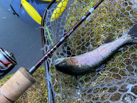 AION アイオン】アブガルシアからエリアトラウト専用ロッドが登場