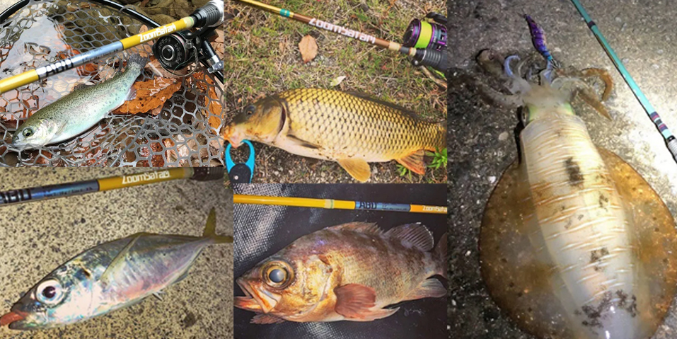 AbuGarciaズームサファリ】海川池湖など色んな場所に連れていきたい