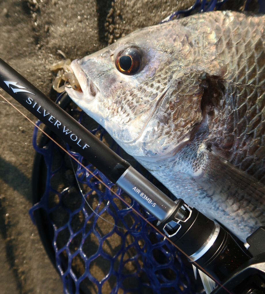 重量リグを遠くへ飛ばすための新機種」年間2,000枚以上の釣果“森浩平