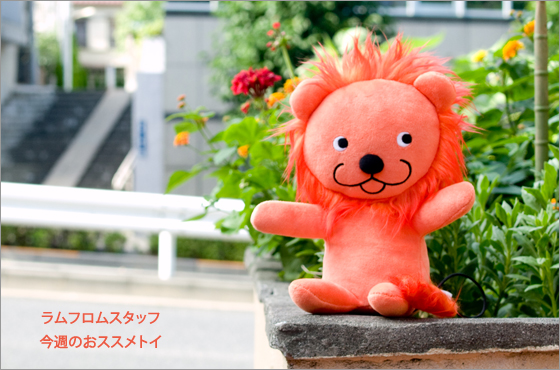 今週のおススメトイ】ハンガリー生まれの絵本「ラチとらいおん」から