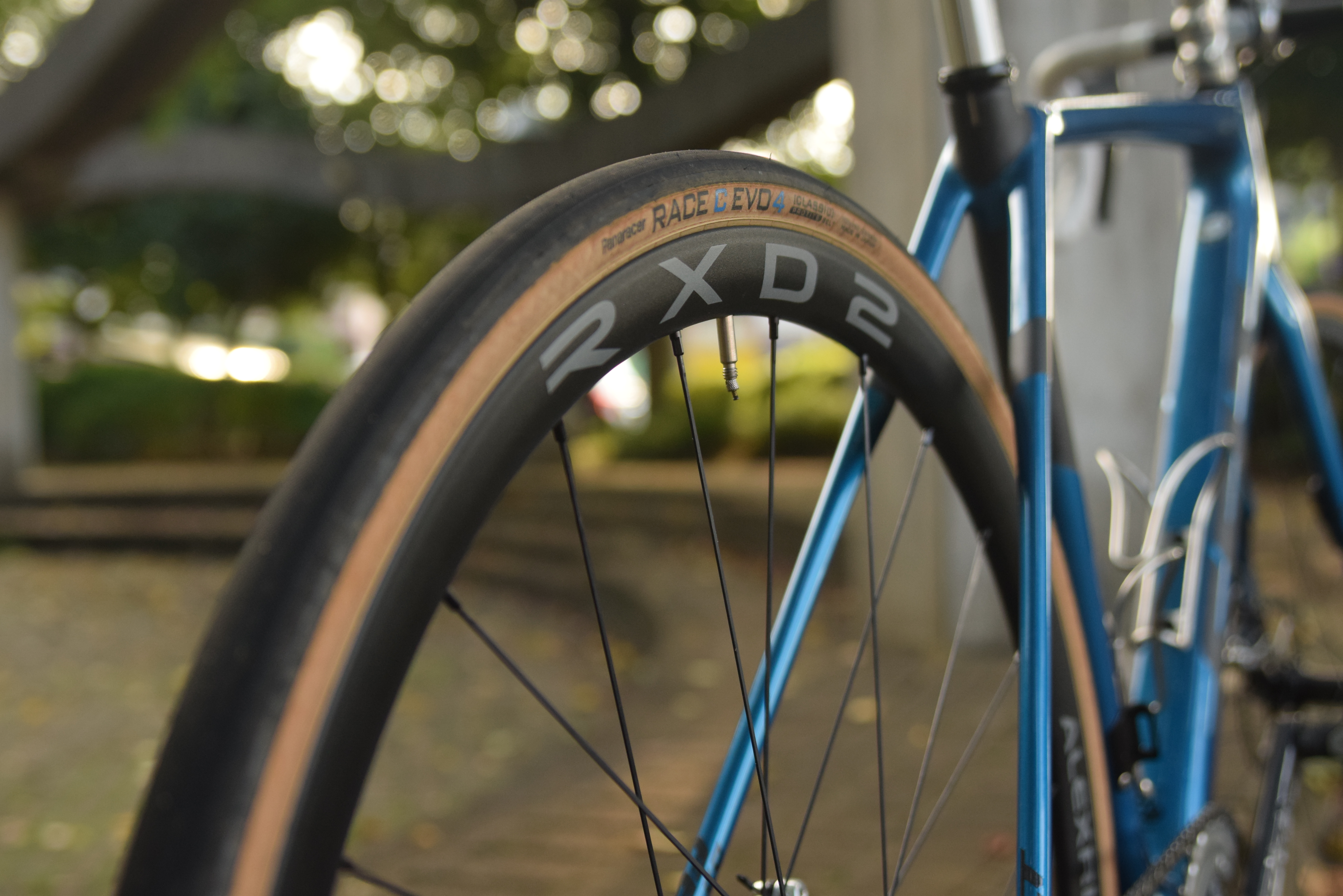 Alexrims RXD2 インプレ 中島渉 | シャキシャキとした反応性が好みの