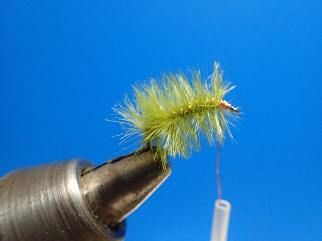 水中でゆらめくダチョウの羽｜クロスオーストリッチ | 魚ココロあれば