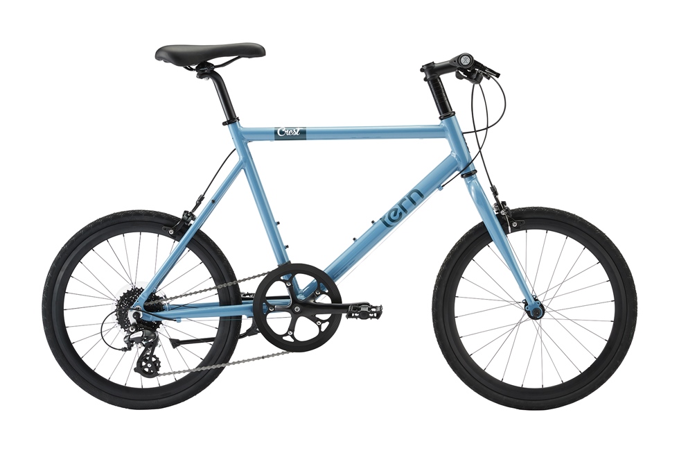 201-terncrste-bluegray1.jpg?