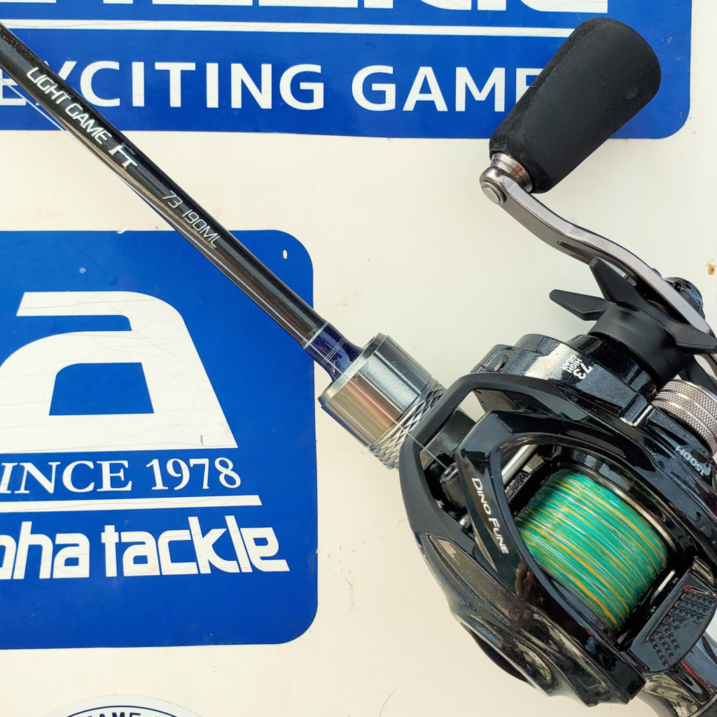 ロッドとリールで2万2000円】でもちゃんと、こんな美形マダイが