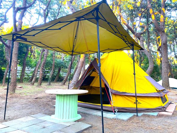 セットアップテントがリニューアルしました！ – ちがさき柳島キャンプ場