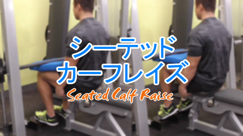 シーテッドカーフレイズのやり方！スミスマシンでヒラメ筋を鍛える
