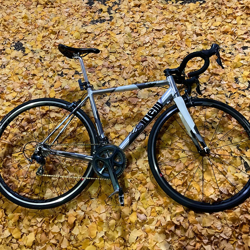 TBB的バイクチェック第一回！”ハイシンダー”ワンペイ君の”Low Bicycles