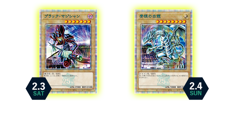 遊戯王 ハーフ12box まとめ売り 遊戯王12ボックスまとめ売り