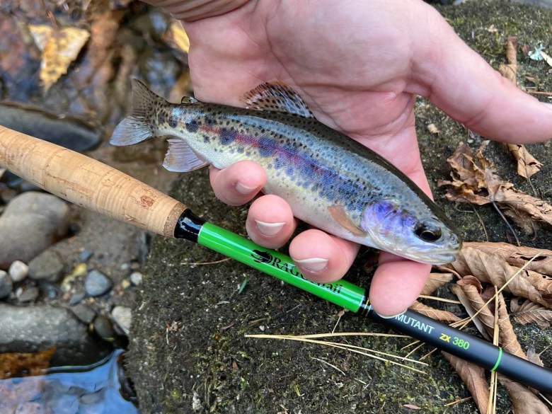 DRAGONtail Mutant zx380 Tenkara Rod Report and Review