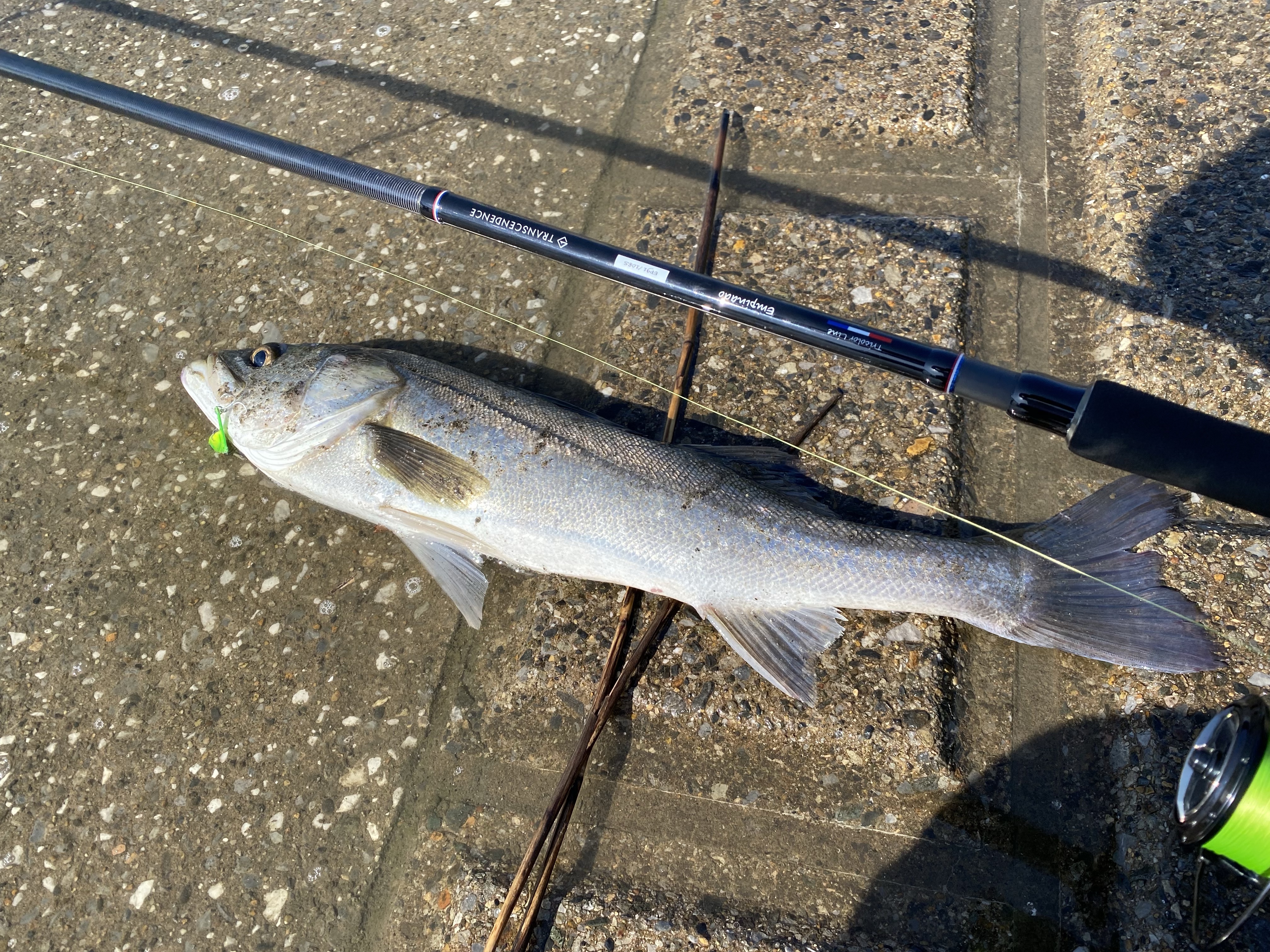 ロッドインプレ】トランスセンデンス エンピナード91S+購入直後