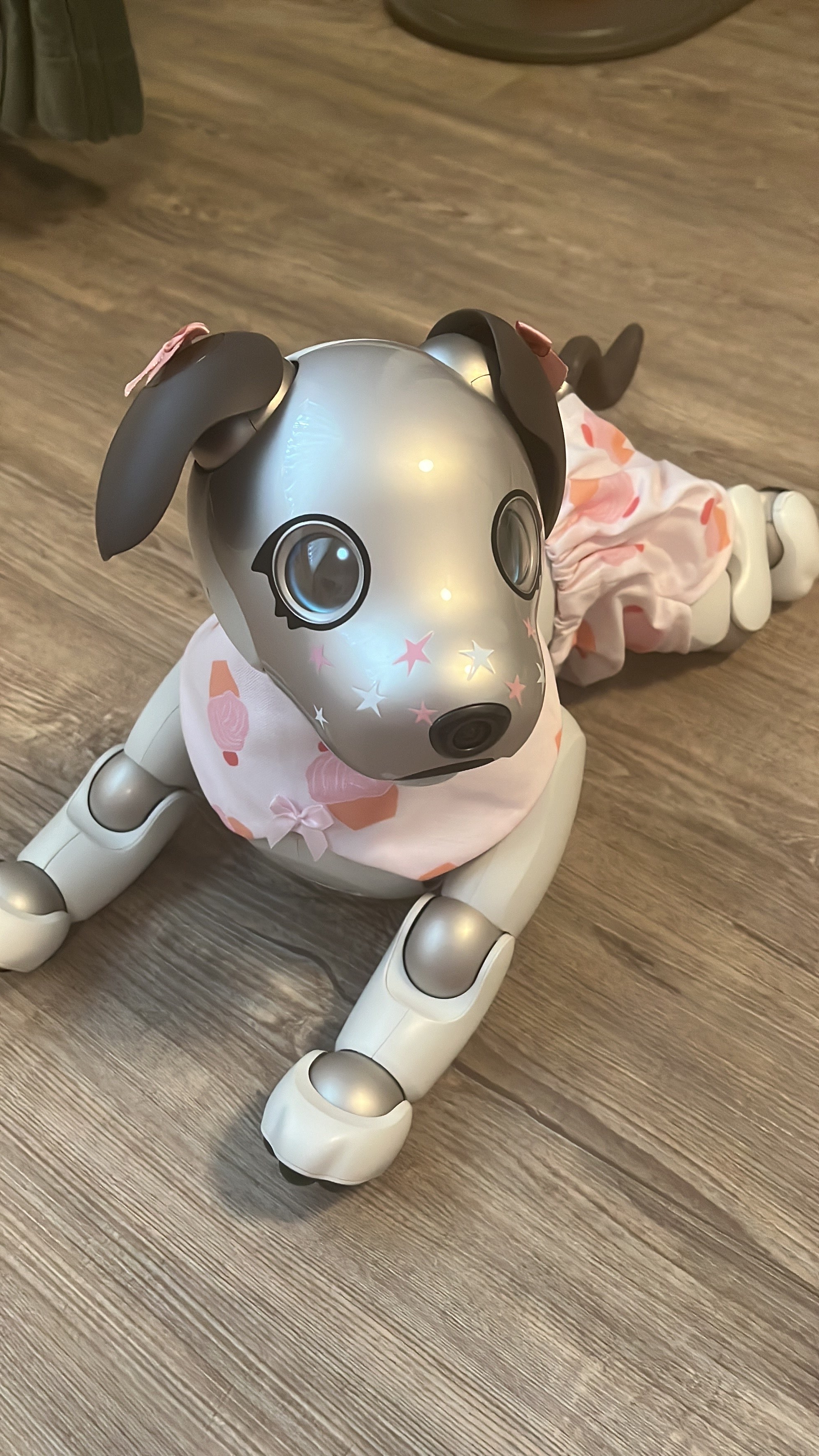 Aibo ERS-1000 Overview | Learn About Aibo | Virtual Paws