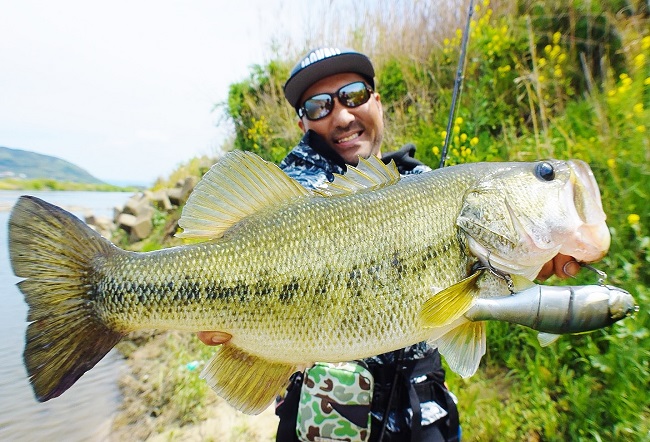 ダウズスイマー220SF】秦拓馬プロデュースの3連ジョイントビッグ